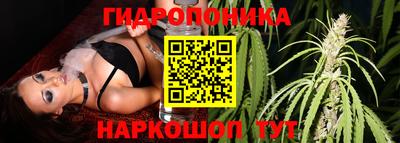 apvp Анапа