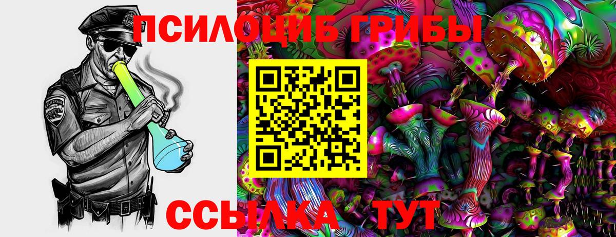 Псилоцибиновые грибы мухоморы  где можно купить наркотик  Ишим  Вход с VPN 